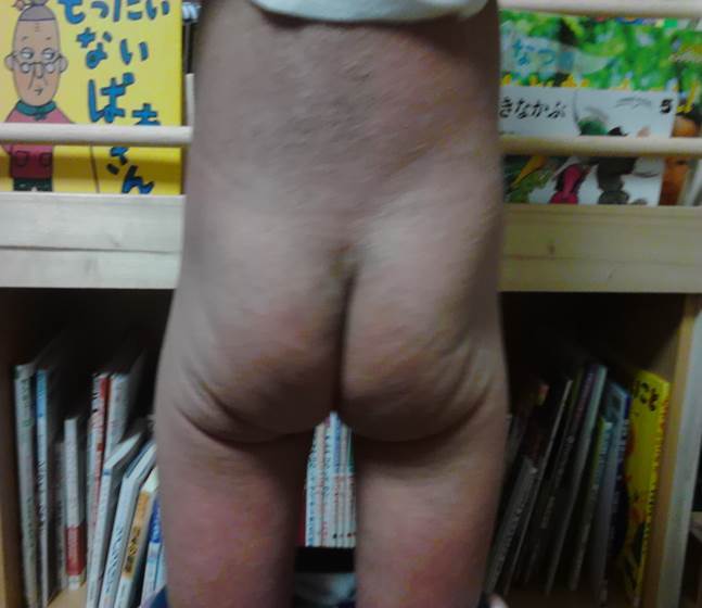 特定非営利活動法人日本免疫美容協会のプレスリリース画像3