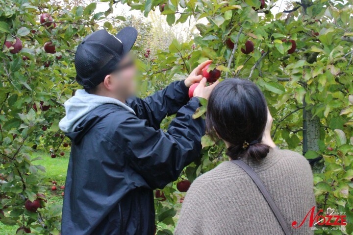 株式会社結婚情報センターのプレスリリース画像1