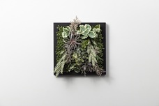 株式会社空間スタイリング社のプレスリリース画像8