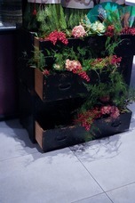 株式会社空間スタイリング社のプレスリリース画像3