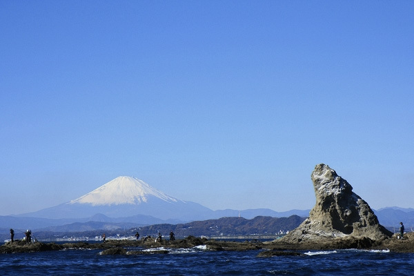 株式会社イッポメのプレスリリース画像5