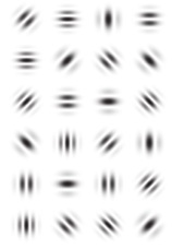 平松　類のプレスリリース画像2