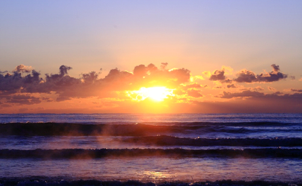 占いヒーリングカフェ　神々の森神社カフェのプレスリリース画像3