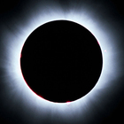 国際航空旅行サービス株式会社のプレスリリース