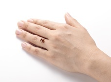 株式会社ワークスタジオのプレスリリース画像6