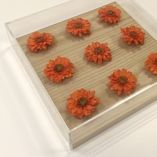 株式会社ワークスタジオのプレスリリース画像4