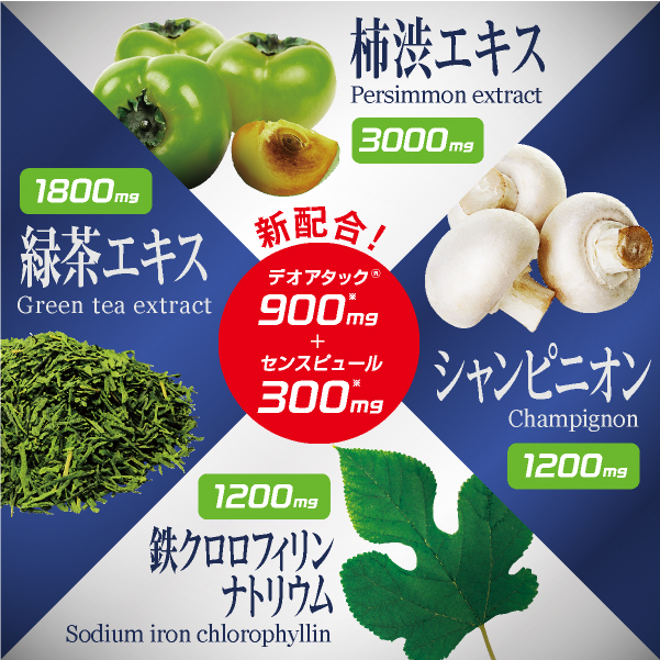 株式会社ECスタジオのプレスリリース画像2