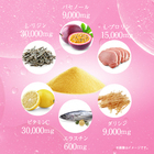 株式会社ECスタジオのプレスリリース画像2