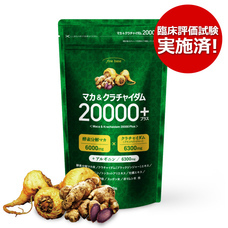 株式会社ECスタジオのプレスリリース画像1