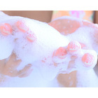 株式会社ガーデンのプレスリリース画像7