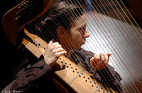 イタリア文化会館のプレスリリース画像9