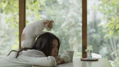 武田薬品工業株式会社のプレスリリース画像8