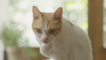 武田薬品工業株式会社のプレスリリース画像9