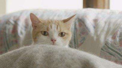 武田薬品工業株式会社のプレスリリース画像7