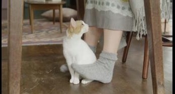 武田薬品工業株式会社のプレスリリース画像5