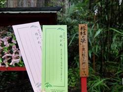 栃木県日光市のプレスリリース画像3