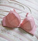 株式会社ファンジェリーのプレスリリース