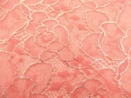 株式会社ファンジェリーのプレスリリース画像2