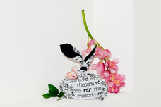 株式会社AJAXのプレスリリース画像11