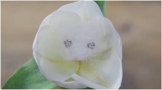 株式会社ヴァンドームヤマダのプレスリリース画像1