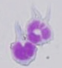 ライフスタイル総研のプレスリリース画像6