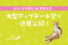 ネコソダテ合同会社のプレスリリース画像1