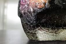 PROGRESSのプレスリリース画像2