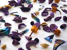 PROGRESSのプレスリリース画像1