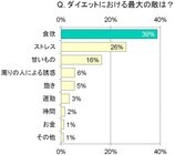 株式会社ディーエイチシーのプレスリリース画像3
