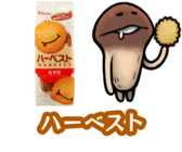 株式会社ビーワークスのプレスリリース画像5