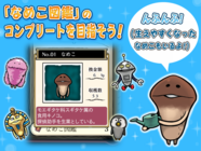 株式会社ビーワークスのプレスリリース画像7