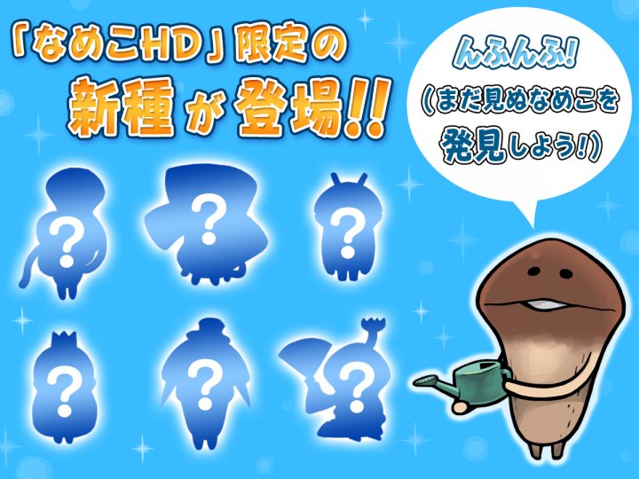 株式会社ビーワークスのプレスリリース画像5