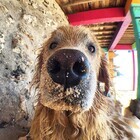 カスタムプロデュース株式会社のプレスリリース画像10