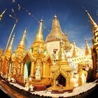 カスタムプロデュース株式会社のプレスリリース画像6