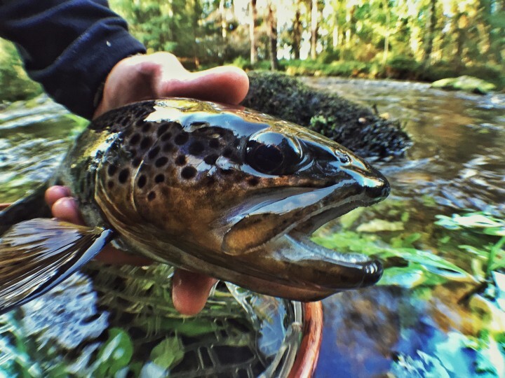 カスタムプロデュース株式会社のプレスリリース画像5