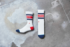 カスタムプロデュース株式会社のプレスリリース画像2