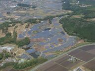 株式会社アバンセコーポレションのプレスリリース画像1