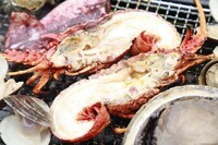 株式会社G-styleのプレスリリース画像7