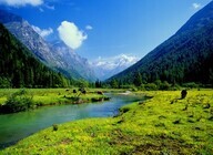 上海市旅游局のプレスリリース画像8