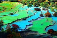 上海市旅游局のプレスリリース画像4