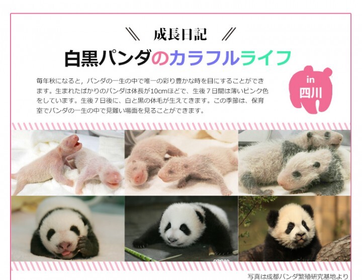 上海市旅游局のプレスリリース画像10