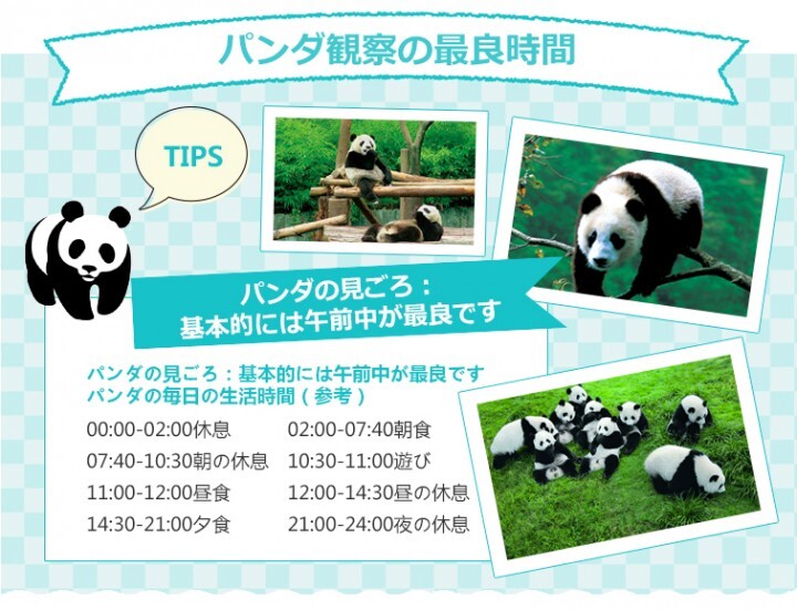 上海市旅游局のプレスリリース画像9