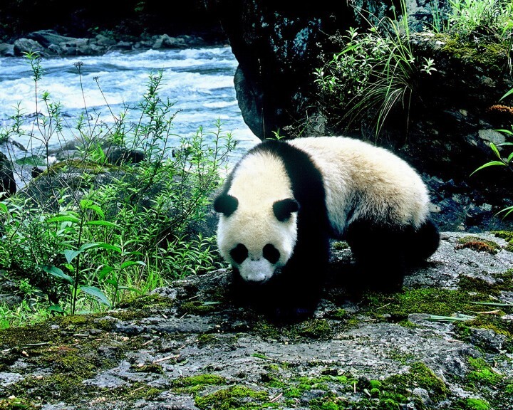 上海市旅游局のプレスリリース画像1