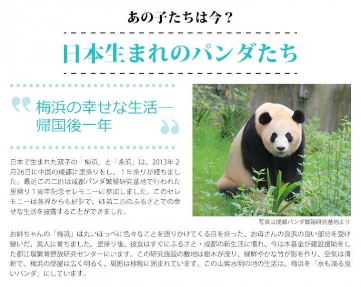 上海市旅游局のプレスリリース画像5