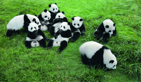 上海市旅游局のプレスリリース画像4