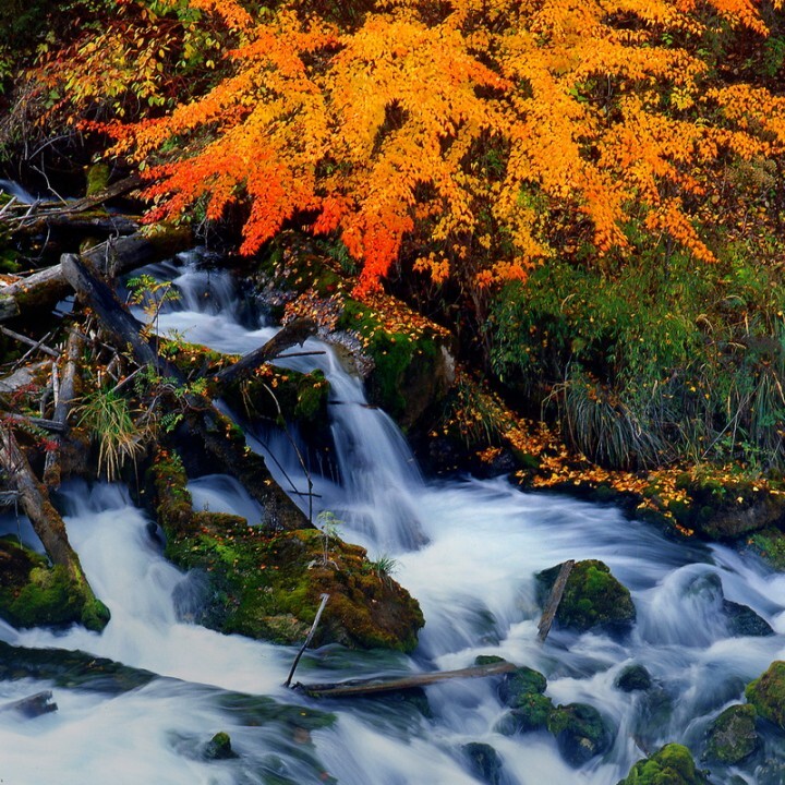 上海市旅游局のプレスリリース画像3