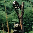 上海市旅游局のプレスリリース画像4