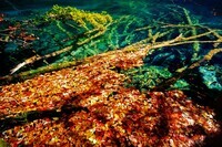 上海市旅游局のプレスリリース画像5