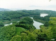 上海市旅游局のプレスリリース画像2