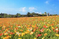 上海市旅游局のプレスリリース画像3